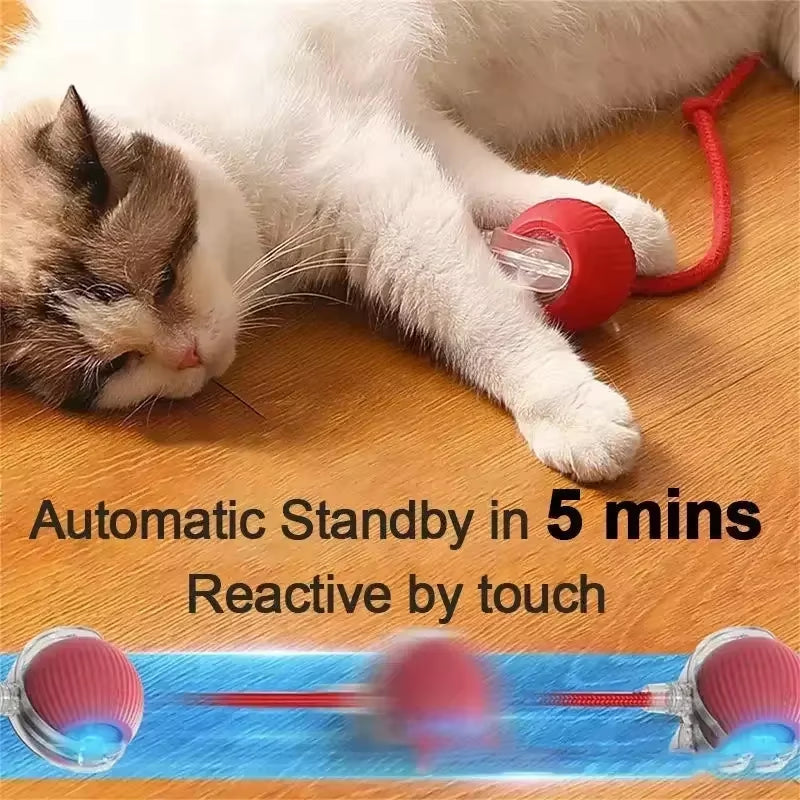 Interactive Cat Toy Ball – Rechargeable Automatic Rolling Toy