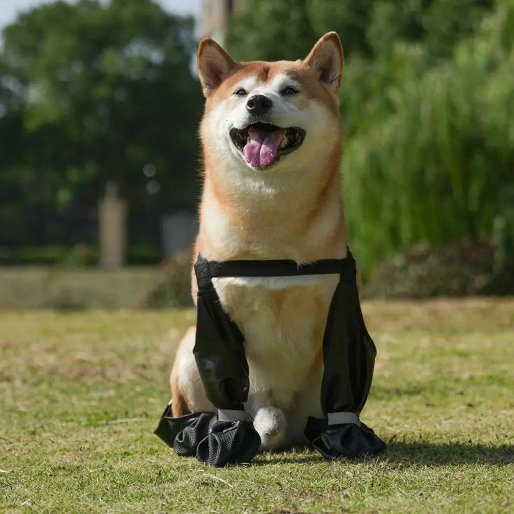 Waterproof Dog Rain Boots – Non-Slip Outdoor Shoes