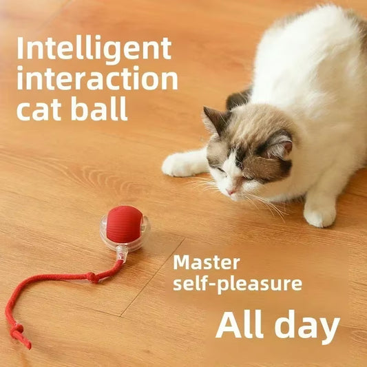 Interactive Cat Toy Ball – Rechargeable Automatic Rolling Toy