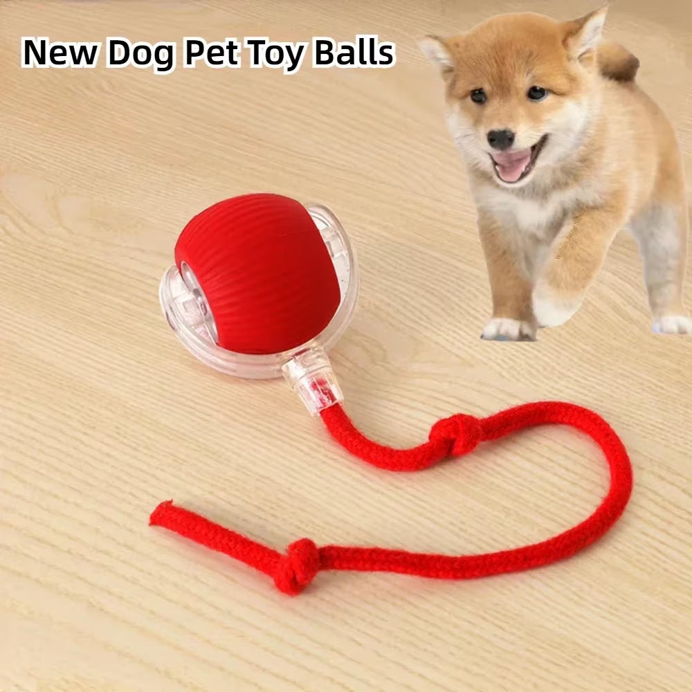 Interactive Cat Toy Ball – Rechargeable Automatic Rolling Toy