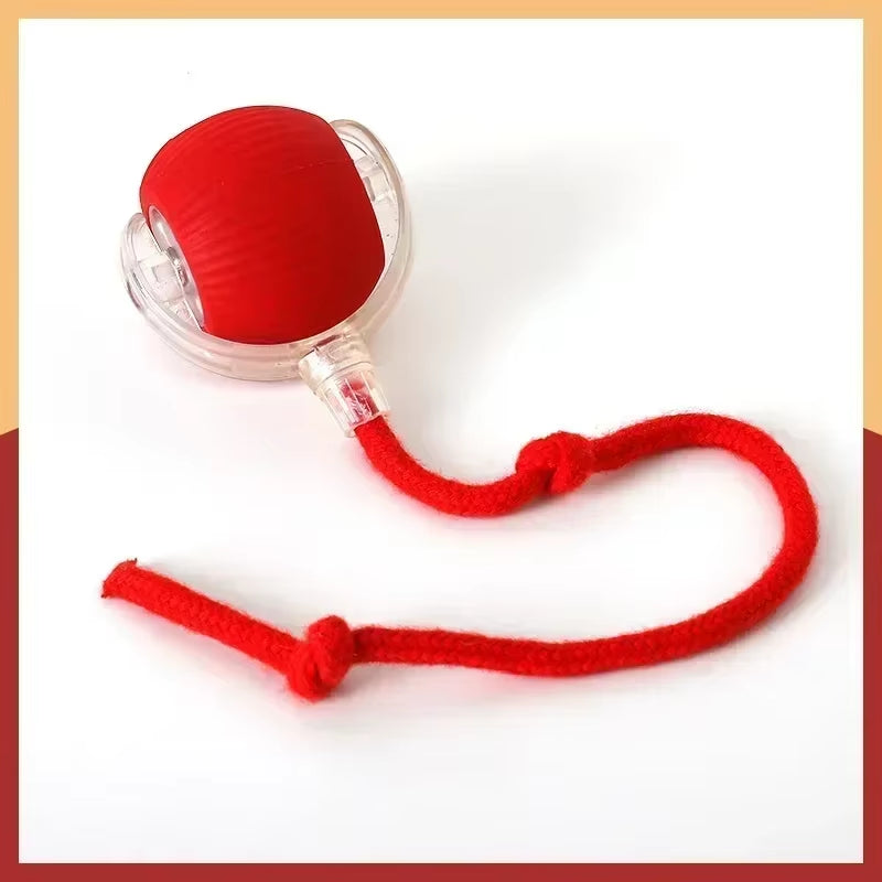 Interactive Cat Toy Ball – Rechargeable Automatic Rolling Toy