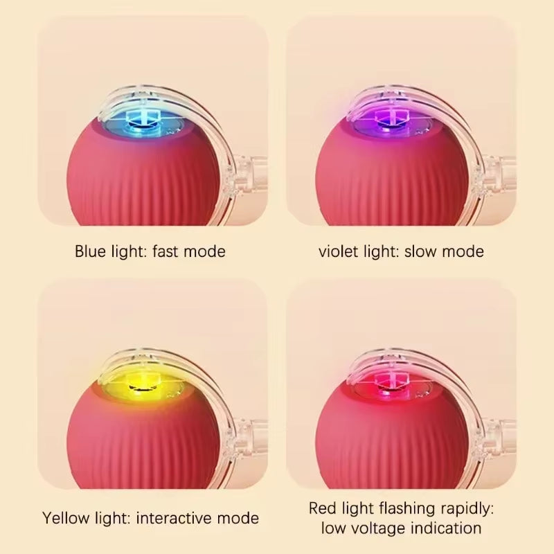 Interactive Cat Toy Ball – Rechargeable Automatic Rolling Toy