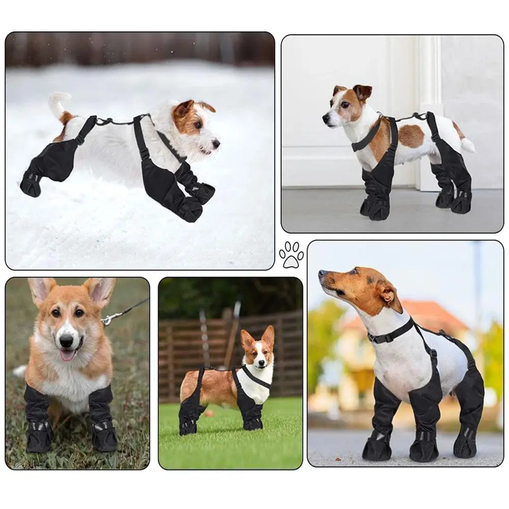 Waterproof Dog Rain Boots – Non-Slip Outdoor Shoes